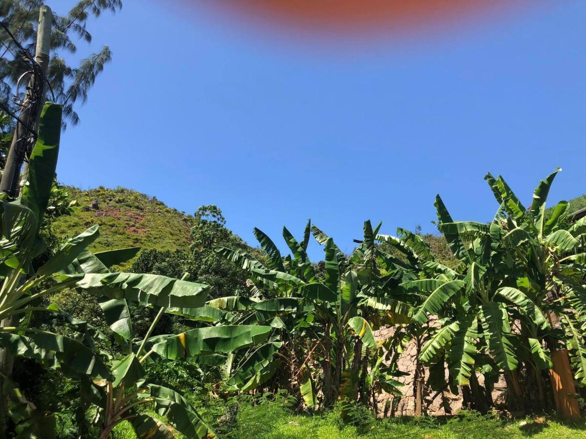 Mirella Villa Anse Volbert Village Dış mekan fotoğraf